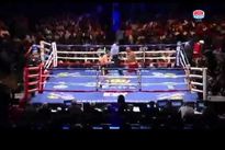 Видео боя: Бернард Хопкинс – Бейбут Шуменов, HD 720 Видео боя: Бернард Хопкинс – Бейбут Шуменов, HD 720