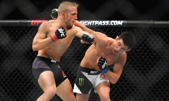 cruz-dillashaw-3.jpg