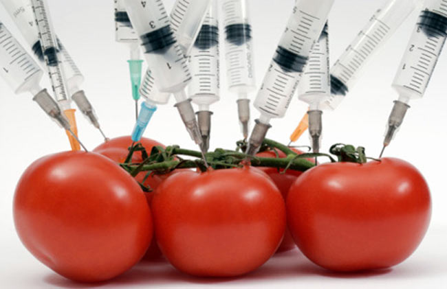GMO.jpg