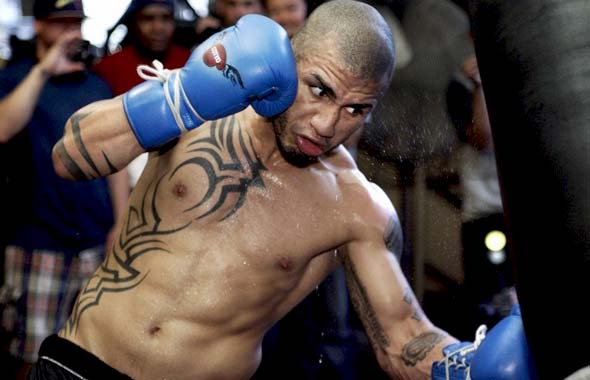 cotto3