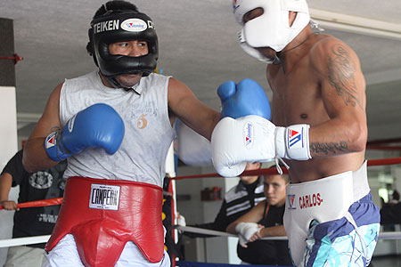 barrera2