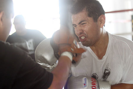 barrera4