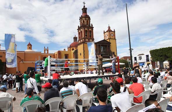 mayol1