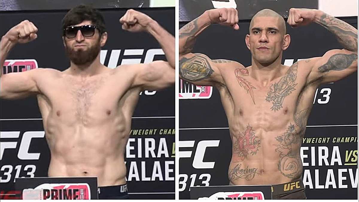 Zapowiedź UFC 313: Alex Pereira – Magomed Ankalaev