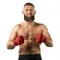 Cały świat boksu i MMA