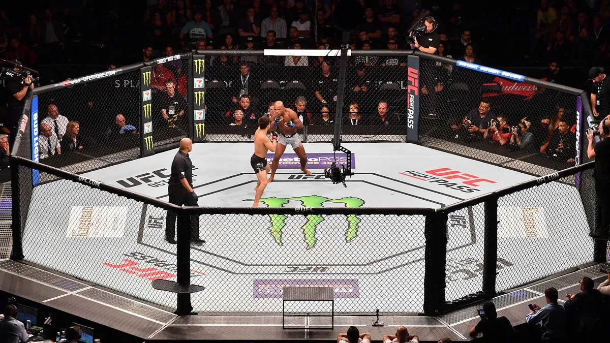 Pełna karta UFC Fight Night 246: Moreno – Albazi