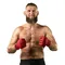 Cały świat boksu i MMA