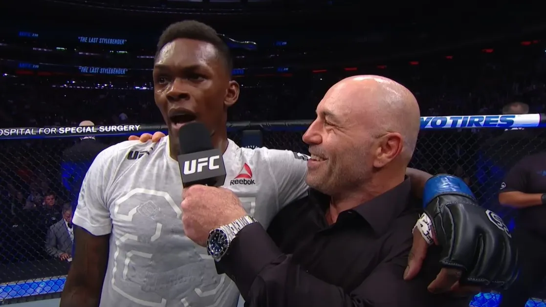 Adesanya – Imavov: typy zawodników UFC