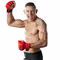 Cały świat boksu i MMA