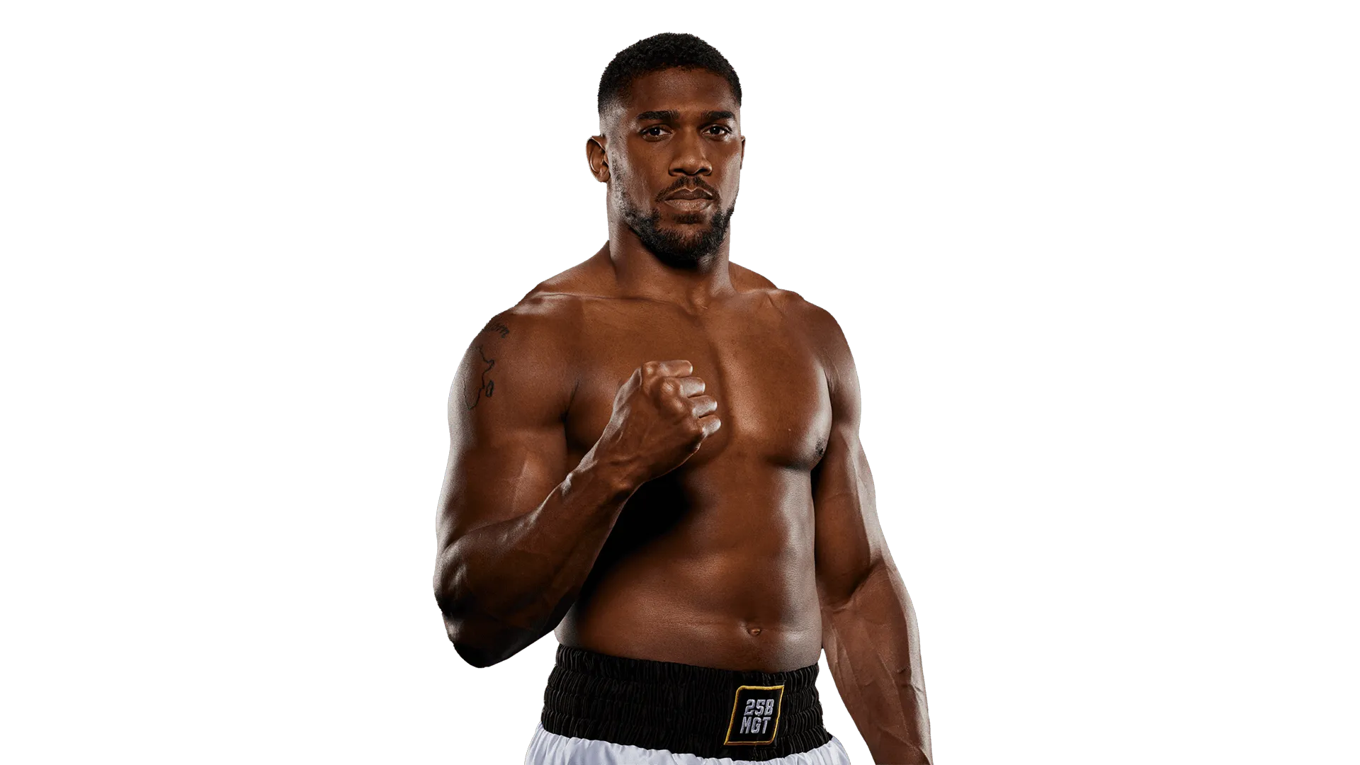 Anthony Joshua