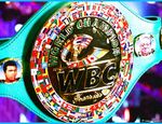 В IBF вспомнили об элиминаторе, а в WBC отказались от «франчайзингового» титула