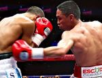 Эстрада нокаутировал Саласа, Нери стал претендентом для Яманаки Эстрада нокаутировал Саласа, Нери стал претендентом для Яманаки