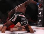Bellator 127: Штраус нокаутировал Уилкокса и другие результаты