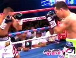 Семь нокдаунов: «Петух» Эстрада извалял и нокаутировал Маркеса