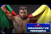Нганну уничтожил Феррейру. Видео нокаута и лучших моментов боя Нганну уничтожил Феррейру. Видео нокаута и лучших моментов боя