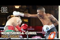 Нокаут года? Видео лучших моментов и яркого финиша боя Куриэль – Нонтшига