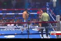 Видео боя: Джонни Гонсалес – Хорхе Арсе