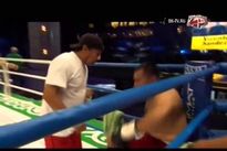 Видео боя: Эдмунд Гербер – Висенте Сандес