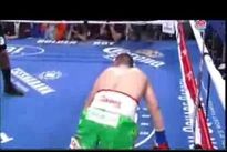 Видео боя: Туреано Джонсон — Имонн О'Кейн, HD 1080 Видео боя: Туреано Джонсон — Имонн О'Кейн, HD 1080