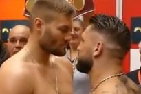 Видео боя: Том Шварц — Сенад Гаши, HD 720 Видео боя: Том Шварц — Сенад Гаши, HD 720