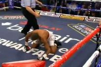 vringe - Джордж Гроувз - Ноэ Гонсалес Алькоба (25.V.2013)