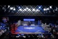 vringe - [WSB] Винченцо Пикарди (ITA) – Вячеслав Гожан (GER)