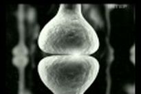vringe - Виталий Кличко - Шеннон Бриггс (16.X.2010), 3/7