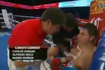 vringe - Шейн Мосли - Пабло Сесар Кано (18.V.2013), 2-й вариант