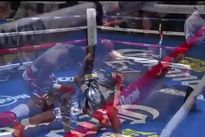 vringe - Лукас Мартин Маттиссе - Майк Даллас (26.I.2013), HD 720