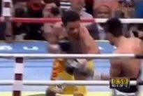 vringe - Пунглуанг Сор Сингью - Эй-Джей Банал (20.X.2012)