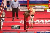 vringe - Ариф Магомедов - Сегундо Эррера (17.V.2013)