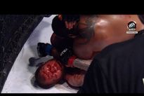 Видео боя: Александр Емельяненко — Тони Джонсон Видео боя: Александр Емельяненко — Тони Джонсон