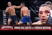 Дос Сантос вновь побил Вердума: видео боя на голых кулаках