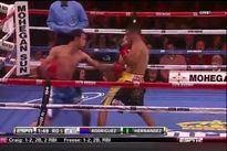 vringe - Делвин Родригес - Фредди Эрнандес (24.V.2013)