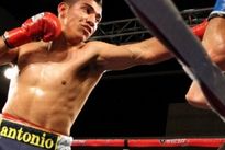 Видео боя: Антонио Ороско — Умберто Сото, HD 720 Видео боя: Антонио Ороско — Умберто Сото, HD 720