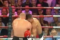 vringe - Дэниел Амманн - Дэвид Алуа (30.I.2013)