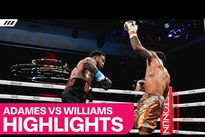 vringe - Карлос Адамес – Остин Уильямс. Видео нокдауна и лучших моментов боя