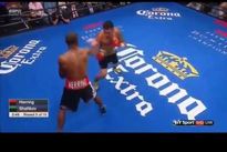 Видео боя: Денис Шафиков — Джеймел Херринг, HD 1080