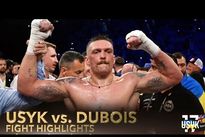 Александр Усик – Дэниел Дюбуа: видео нокаута и лучших моментов боя