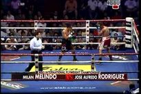 Видео боя: Милан Мелиндо – Хосе Альфредо Родригес, HD 720 Видео боя: Милан Мелиндо – Хосе Альфредо Родригес, HD 720