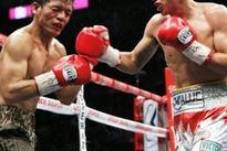 Видео боя: Франсиско Родригес – Мерлито Сабильо, HD 720