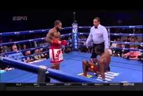 Видео боя: Хассан Эндам Энжикам – Кёртис Стивенс, HD 720