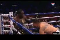 Видео боя: Бермейн Стиверн – Крис Арреола II, HD 720