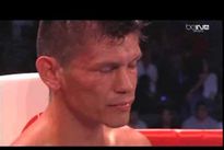 Видео боя: Альберт Пагара — Вильям Гонсалес