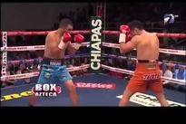 Видео боя: Фернандо Монтиэль – Хесус Риос, HD 720 Видео боя: Фернандо Монтиэль – Хесус Риос, HD 720