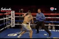 Видео боя: Майк Альварадо — Мэттью Строуд Видео боя: Майк Альварадо — Мэттью Строуд