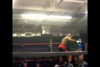 Видео боя: Шеннон Бриггс – Кори Фелпс Видео боя: Шеннон Бриггс – Кори Фелпс