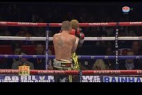 Видео боя: Золани Тете – Пол Батлер Видео боя: Золани Тете – Пол Батлер