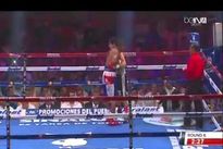 Видео боя: Адриан Эстрейя – Селестино Кабальеро Видео боя: Адриан Эстрейя – Селестино Кабальеро