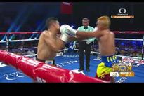 Видео боя: Хулио Сеха — Брейлор Теран